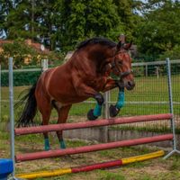 Sein zweites Freispringen